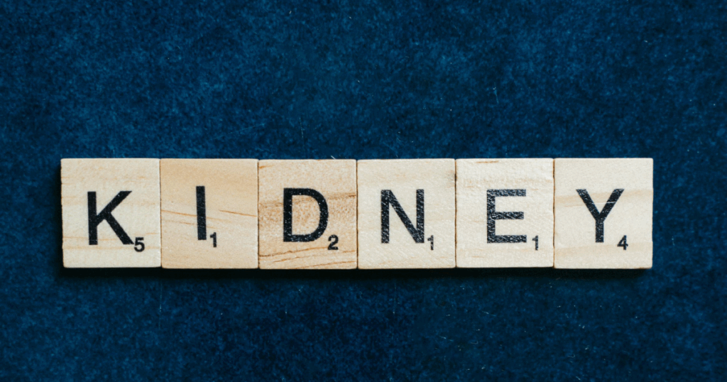 image Silicon Valley Recovery