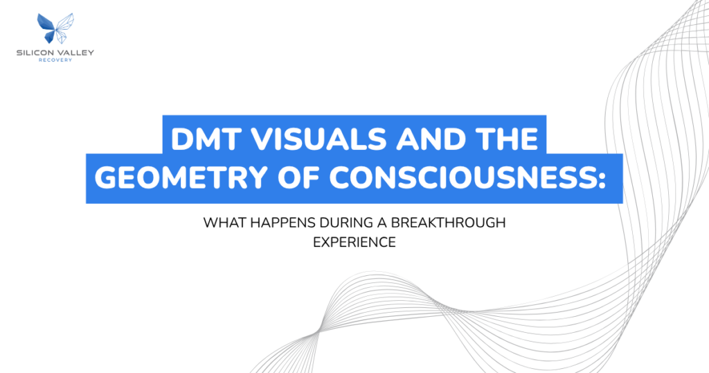 Slide header DMT Visuals and the Geometry of Consciousness What happens during a breakthrough experience with Silicon Valley Recovery logo top left and gray curved line artwork on the right