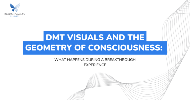 Slide header DMT Visuals and the Geometry of Consciousness What happens during a breakthrough experience with Silicon Valley Recovery logo top left and gray curved line artwork on the right