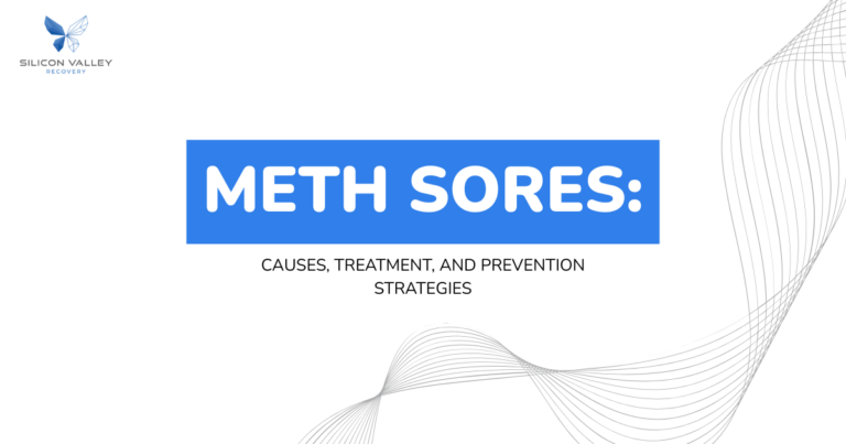Slide title METH SORES subtitle Causes Treatment and Prevention Strategies with Silicon Valley Recovery branding and decorative gray wave design