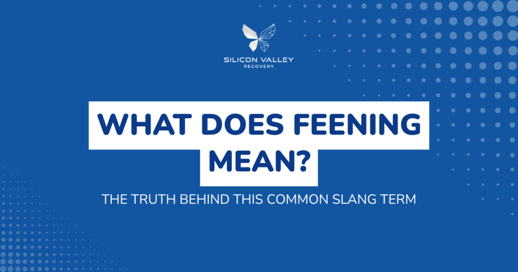 Blue promotional banner with dotted pattern and Silicon Valley Recovery logo top center bold white text blocks read WHAT DOES FEENING MEAN with a subtitle THE TRUTH BEHIND THIS COMMON SLANG TERM conveying a article cover about the slang term
