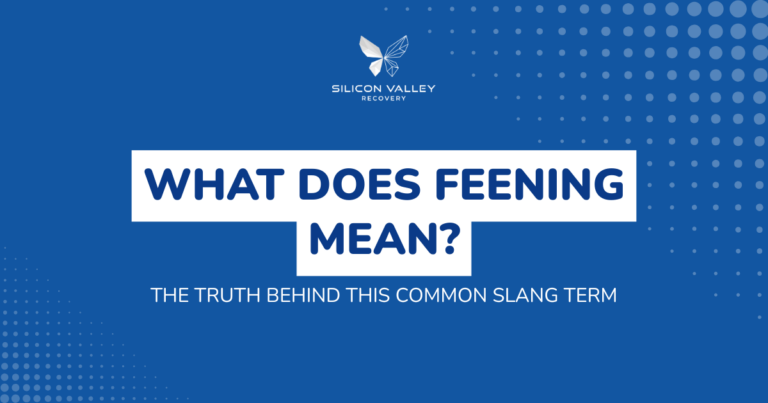 Blue promotional banner with dotted pattern and Silicon Valley Recovery logo top center bold white text blocks read WHAT DOES FEENING MEAN with a subtitle THE TRUTH BEHIND THIS COMMON SLANG TERM conveying a article cover about the slang term